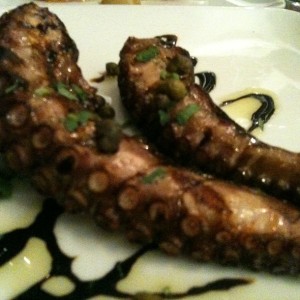 thumb_octopus-grilled